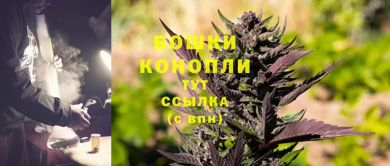 Марихуана White Widow  где можно купить   Чкаловск 